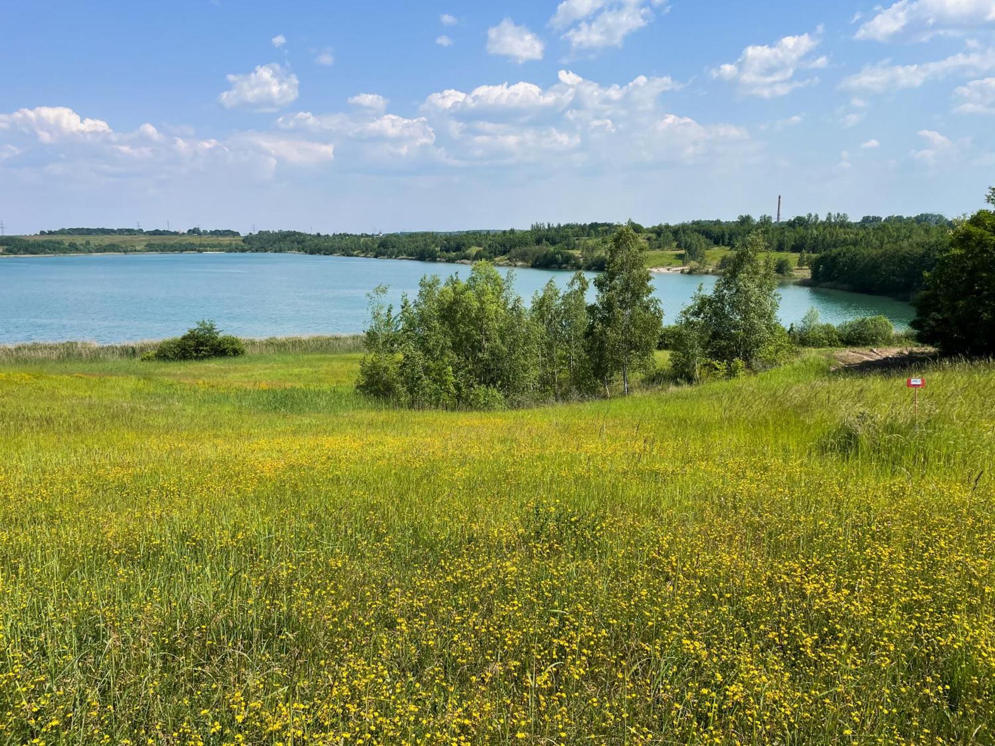 Haus Im Schilf 2 - Ferienwohnungen Am Hainer See Bei Leipzig Neukieritzsch Buitenkant foto