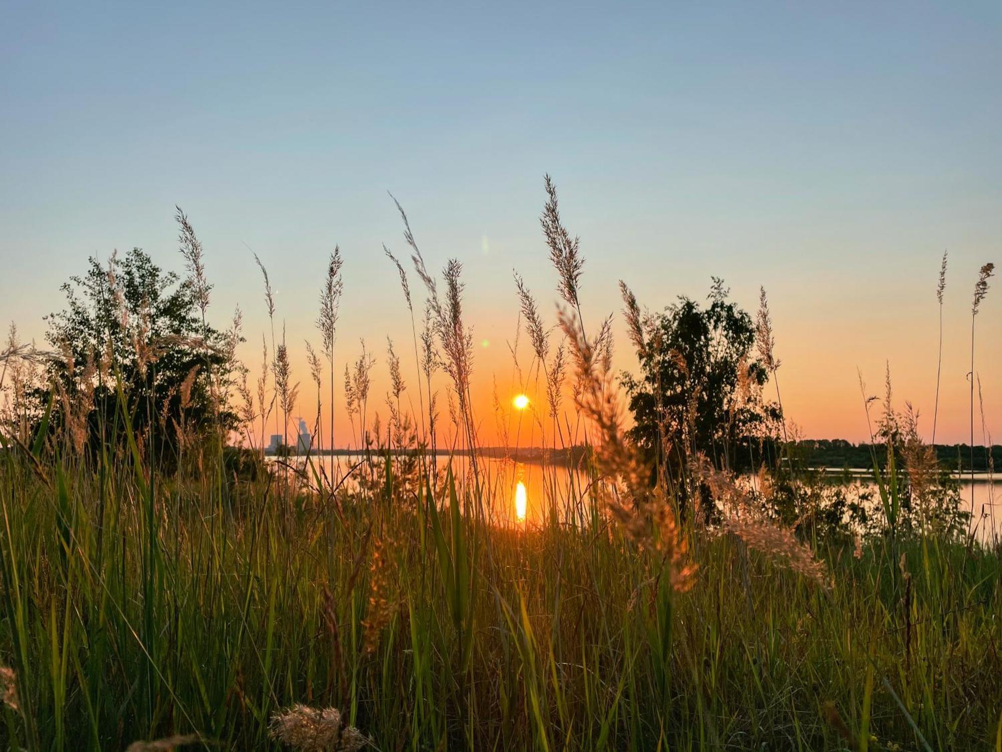 Haus Im Schilf 2 - Ferienwohnungen Am Hainer See Bei Leipzig Neukieritzsch Buitenkant foto